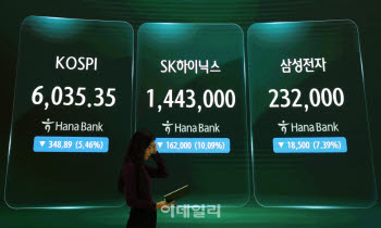 [속보]코스피, 0.44% 오른 6062.08…코스닥은 835.90