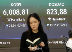 [속보]'널뛰기' 코스피, 6000피 간신히 사수…삼전·닉스도 상승분 반납