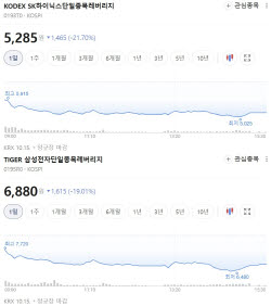"단 하루 만에 -22% 폭락?"…또 신저가 찍은 '삼전·닉스' 레버리지