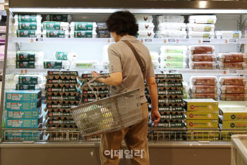 "달걀 산지 가격 내려도 한 판 7000원?"…여전히 비싼 이유[왜 이 가격]
