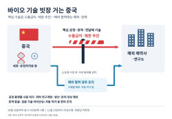 신약 만드는 기술까지 잠근다…中, 세포·유전자치료 공정 수출금지 추진