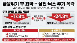 삼전닉스 금융위기 이후 최악의 폭락인데…증권가는 왜 괜찮다 할까