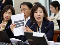 李 질문엔 “궤변”이라던 제미나이, 나경원이 물었더니