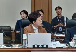 국힘 "대통령 전용기 때문에 항공기 무더기 지연"