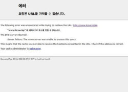 北 사이트 40곳 줄줄이 먹통…美업체가 지목한 원인은