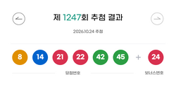 [속보]로또 1247회 당첨번호 '8·14·21·22·42·45'…보너스 '24'