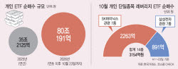 폭락장서 삼전·닉스 2배에 또 손 댔다…개미 ETF 80조 싹쓸이