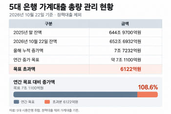 집 계약했는데 대출 막히면?…'연말 대출절벽' 또 온다는 경고