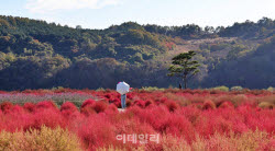 800m… 가까워도 닿을 수 없는 북녘