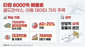 "무료 내비에 8000억?"…골드만삭스가 '티맵' 사려는 이유[마켓인]