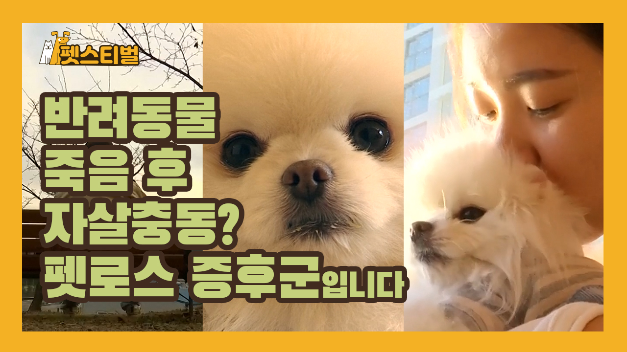 반려동물 죽음 후 자살 충동? 펫로스 증후군입니다