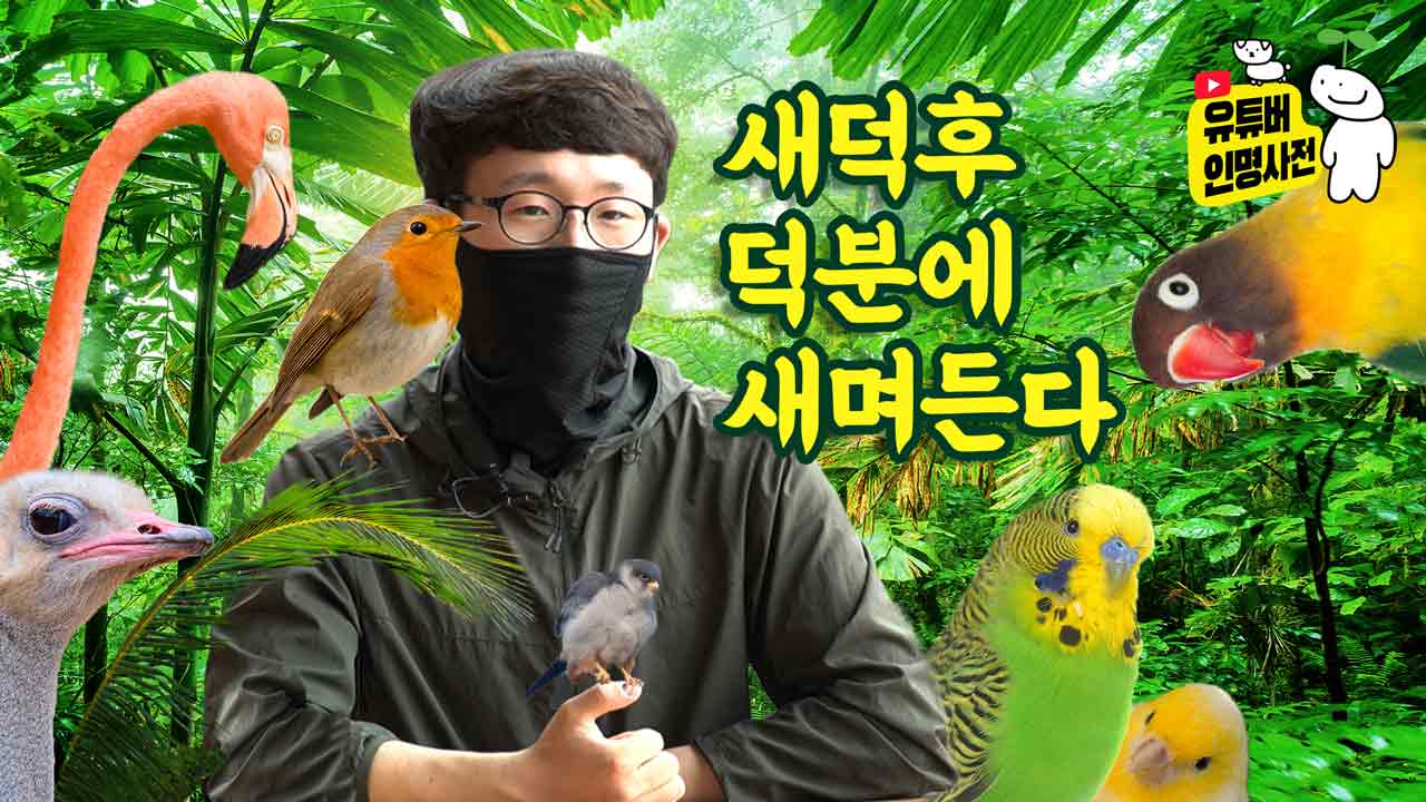 새덕후 덕분에 새며든다...
