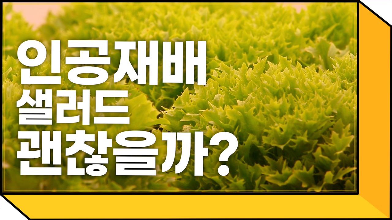 세계최초 미래형 텃밭, 서울 지하철에 있다고?