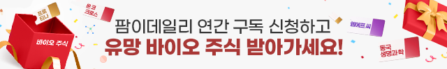 최상단배너