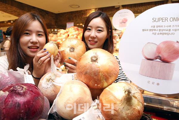 [포토] 얼굴크기만한 수퍼 양파