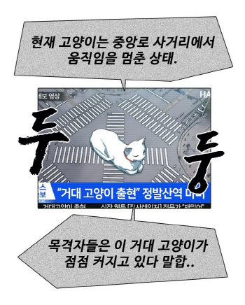  신선한 고양이 세계관… 네이버웹툰 ‘집사레인저’