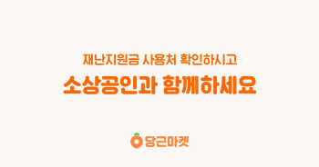 당근마켓 “우리동네 재난지원금사용처 알려드려요”