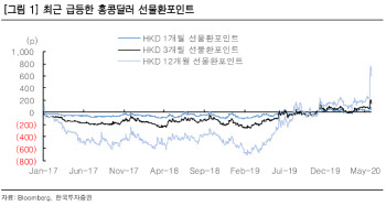 "中홍콩보안법 제정시 홍콩달러 변동성 확대"