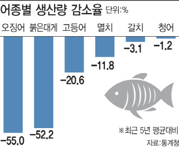 中어선 남획에 씨마른 金징어…'최애' 해산물 1위 부상