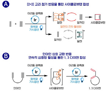 약 부작용 개선 도움될까...가시광선으로 약물 '뼈대' 만든다