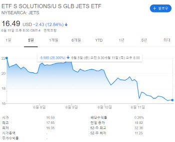 버핏이 손절한 항공주 난기류 `휘청`