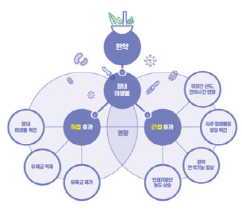 한약으로 면역력 키운다는데 원리는?