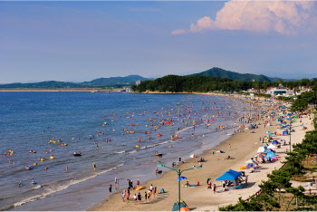 충남 대천·춘장대·만리포 등 6개 해수욕장, 발열체크 의무화