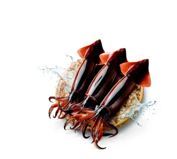 냉동보다 싸진 생물 오징어…이마트, 5마리 7900원에 판매
