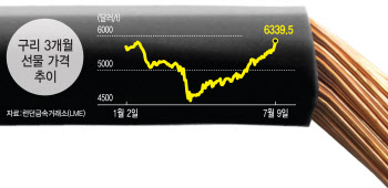 1년2개월만에 최고치 찍은 `닥터 쿠퍼`..더 오를까