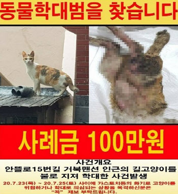 '또' 사체 절단된 고양이 발견…경찰 용의자 추적중