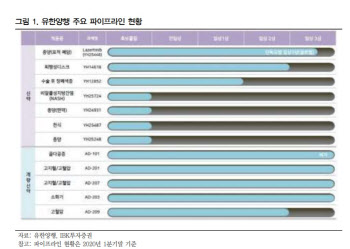 유한양행, 신약파이프라인 개발 역량 주목-IBK