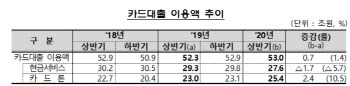 코로나 타격받은 서민, 금리 10%대 카드론에 몰렸다