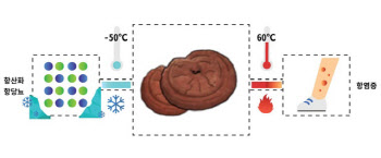 영지버섯의 새로운 효능 발견···아토피·건선 등 피부염증 치료에 효과