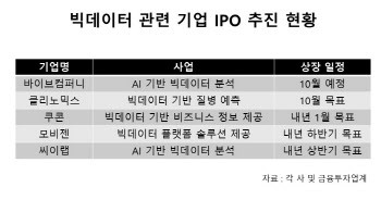 `데이터 댐` 본격화…빅데이터 전문기업 상장 러시