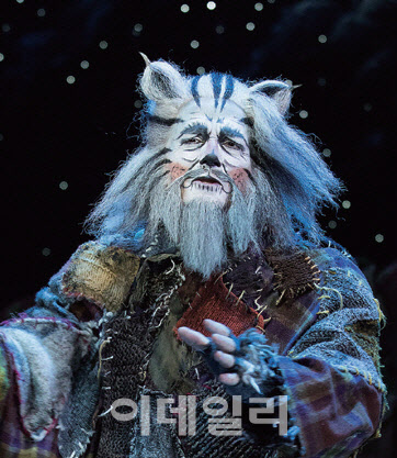 [올 어바웃 '캣츠']⑤아주 특별한 고양이들을 소개합니다-Ⅱ