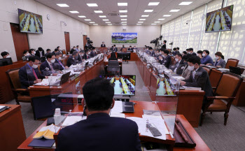 외통위, 北 총격 유가족 이래진씨 증인 채택 두고 실랑이