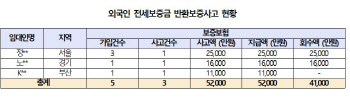 외국인 집주인도 전세보증금 떼먹어