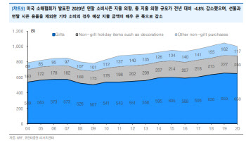 "美 소비자 연말 돈 안 쓴다…매크로 비관론 강화 가능성"