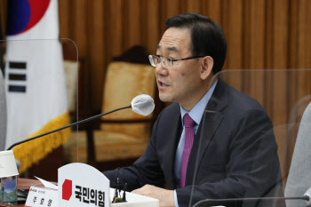 주호영 "민주당 투표율 30% 하회…통상 효력 없는 것"