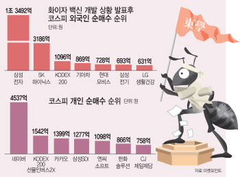 외국인 '경기민감株' 탈때 동학개미 여전히 '성장株'…승자는