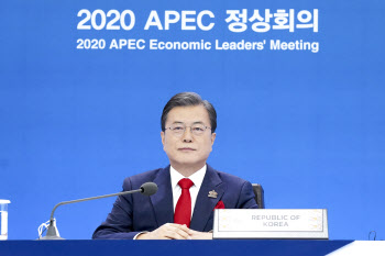 ‘아태 무역자유화·경제공동체’ 文대통령, APEC에 제안 3가지