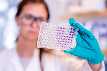WHO, '코로나 바이러스 주입하는 백신 시험' 타당성 논의