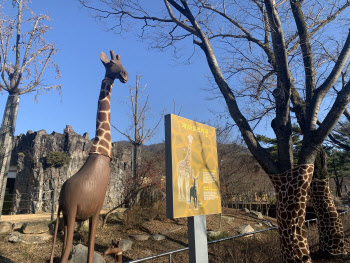 서울대공원, 곳곳에 기린·얼룩말 무늬 나무옷으로 겨울 준비