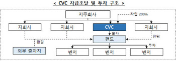 구더기 무서워 장독 깬 與…규제 족쇄에 CVC 반쪽짜리 전락