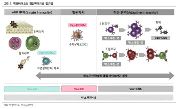 박셀바이오, 항암 면역세포치료제 파이프라인 기대 -하나