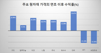 구리·철광석 최고점 찍는데 유가는 부진, 왜?