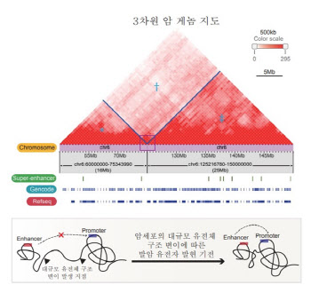 암에서 빈번하게 발생 '대규모 구조 변이' 해결 가능성 높여