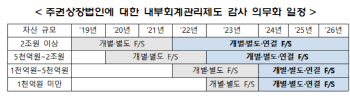 '코로나19 대응' 금감원, 기업 회계결산 유의사항 안내