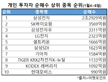 '삼천피' 불지른 동학개미, 사흘간 쓸어담은 종목은?