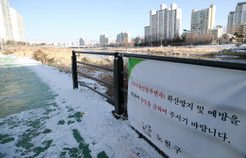 전남 이어 김포 산란계 농장서도 고병원성 AI 의심사례